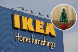 Albero e IKEA