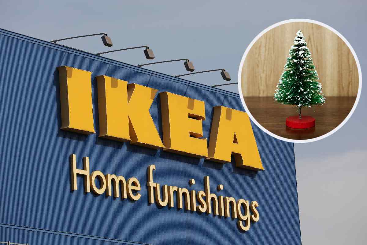 Albero e IKEA