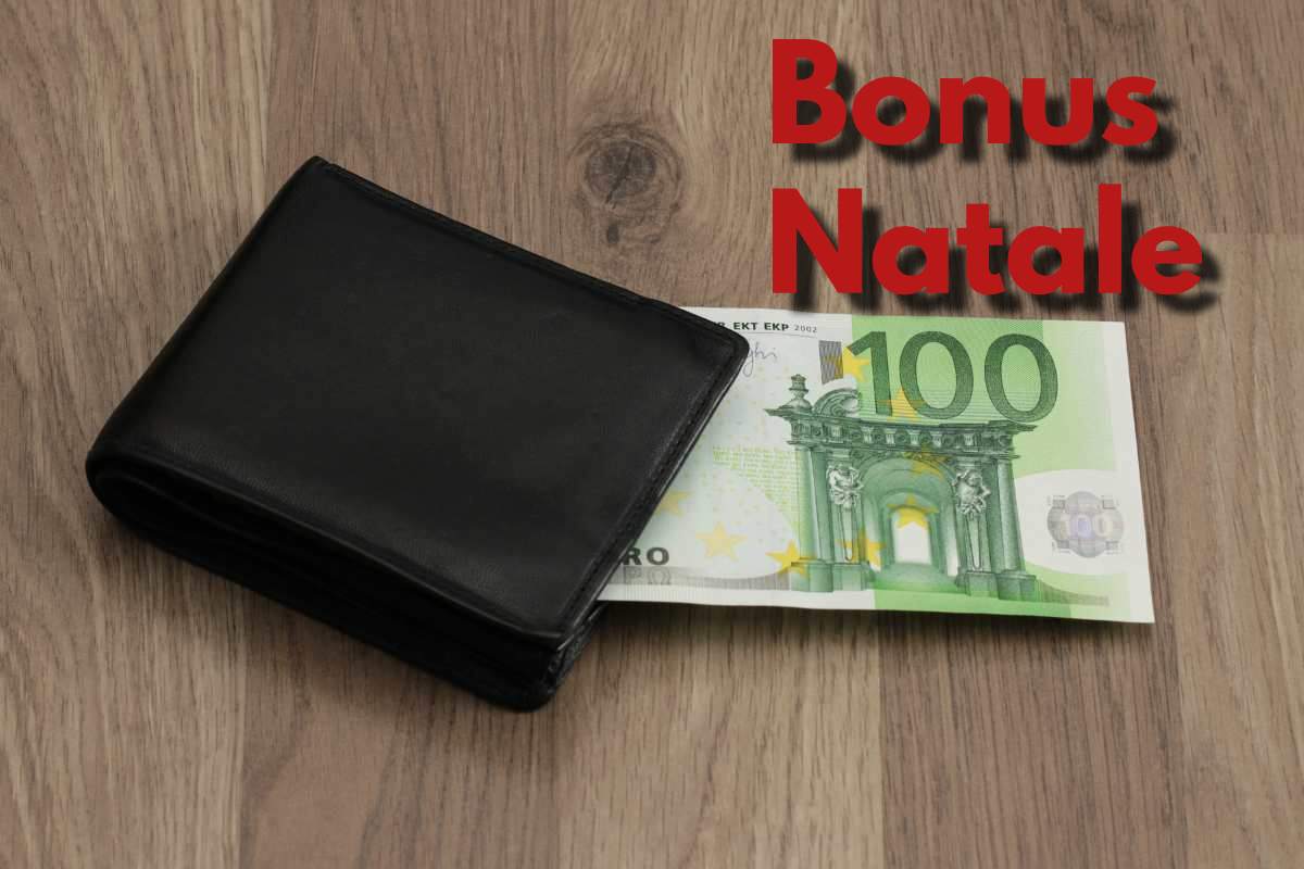 bonus natale portafoglio 100 euro