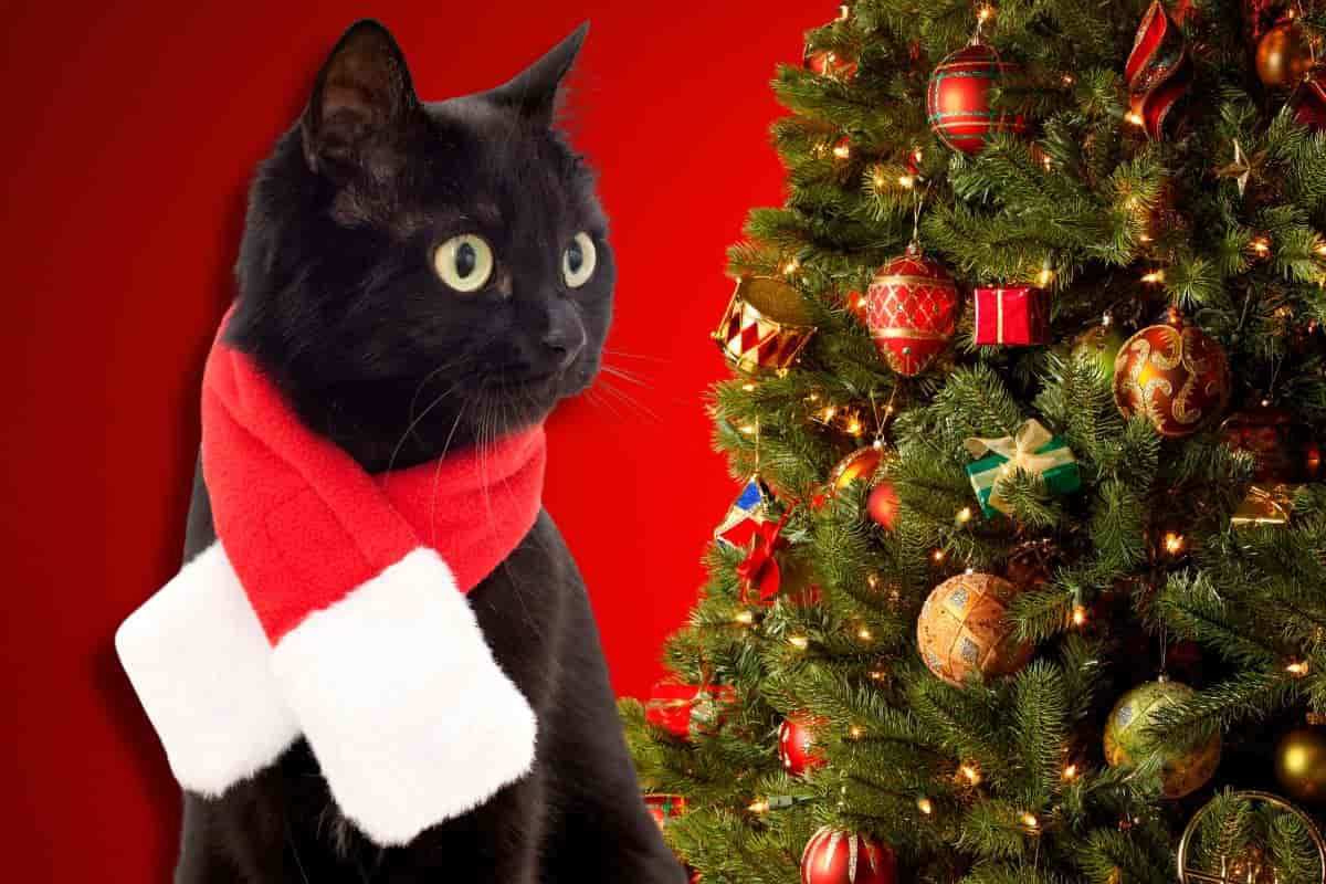 Gatto, albero di Natale